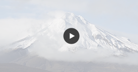 Watch Taranaki wedding video